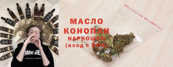 индика Магас