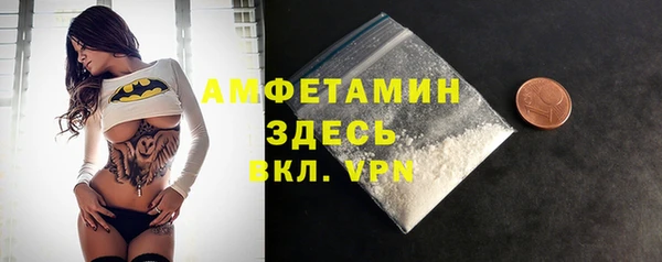 индика Магас