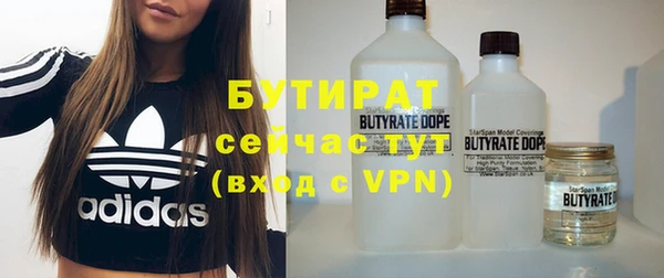 индика Магас