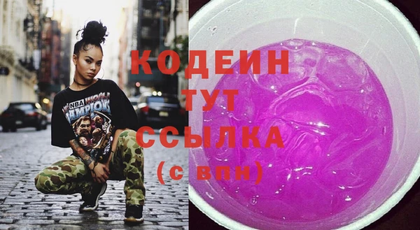 индика Магас