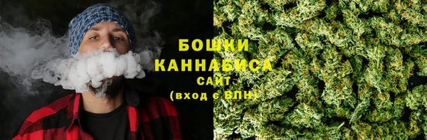 шишки Майский