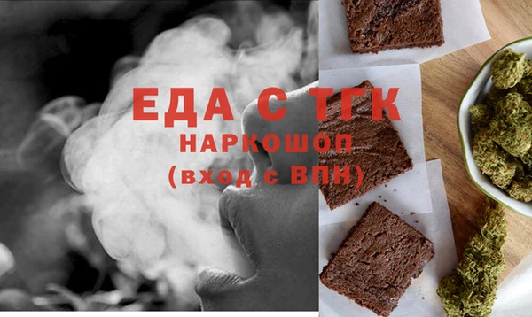 индика Магас
