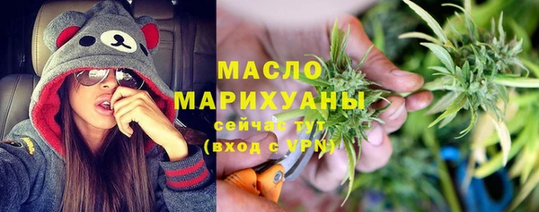 индика Магас