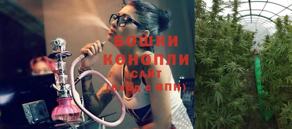 шишки Майский