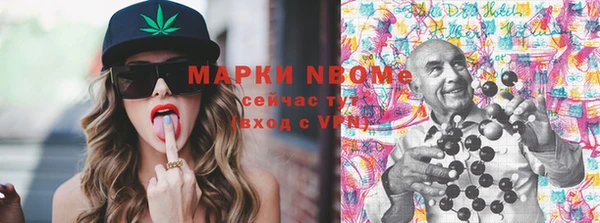 индика Магас