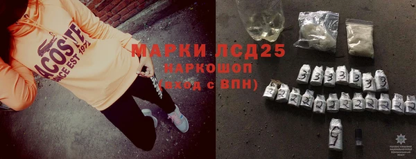 индика Магас