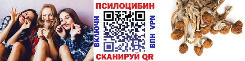 Псилоцибиновые грибы Cubensis  кракен как войти  Ильский 